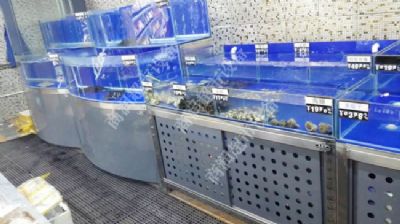 冰鮮魚(yú)池系列